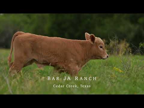 Bar JA Ranch