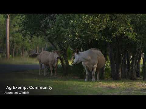 SOLD | Piazza Hilltop Ranch